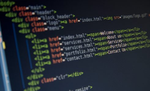 Wordpress Theme vs Custom Development